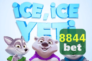 8844 BET feedback — formulário de envio no aplicativo oficial